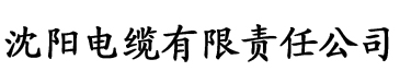 包子短视频电缆厂logo